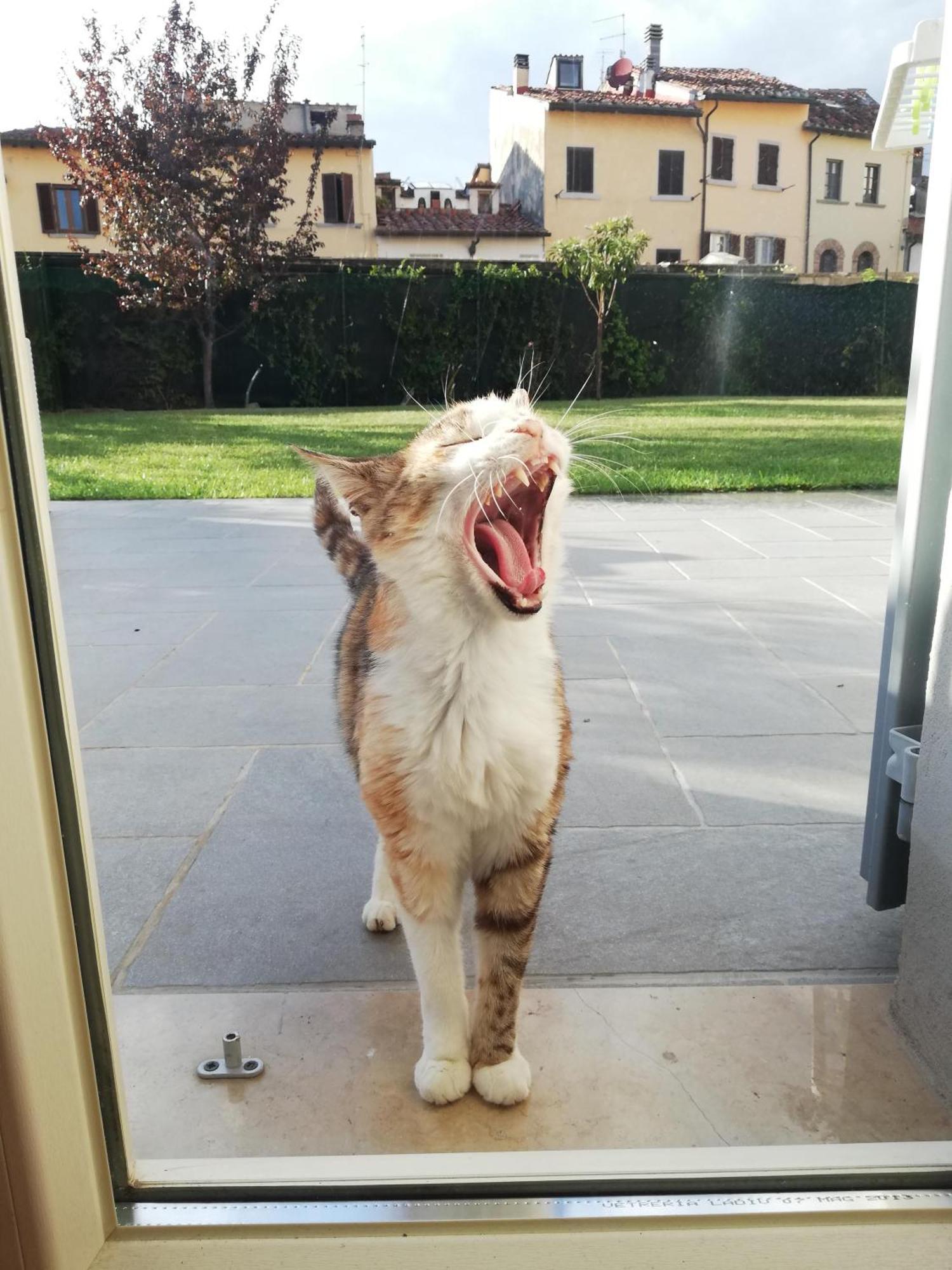 Casa Di Pietro Aretino, Arezzo Centro Storico 4-8 Letti Apartman Kültér fotó