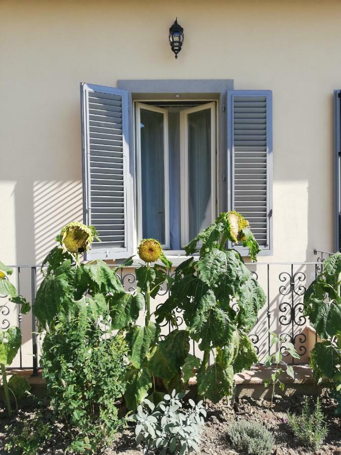 Casa Di Pietro Aretino, Arezzo Centro Storico 4-8 Letti Apartman Kültér fotó